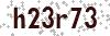 Security Code - Visually impaired may click to display readable code in new window